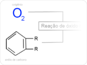 como funciona o clareamento dental